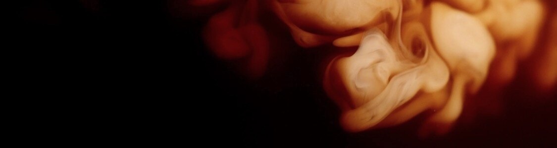 Con Leche y Cortado banner