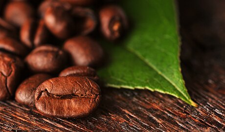 Granos de café y una hoja alrededor